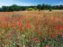 Umbria